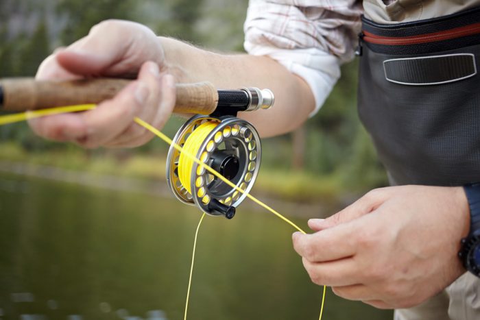 Fly fishing reels