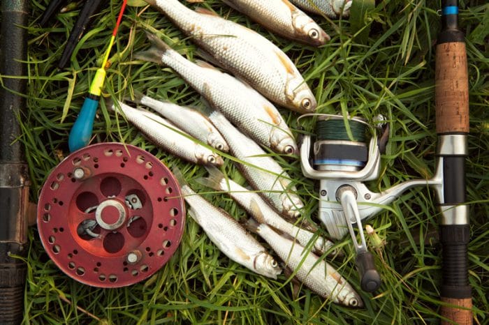 sweet water fishing reels