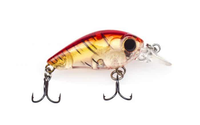 crankbait lure