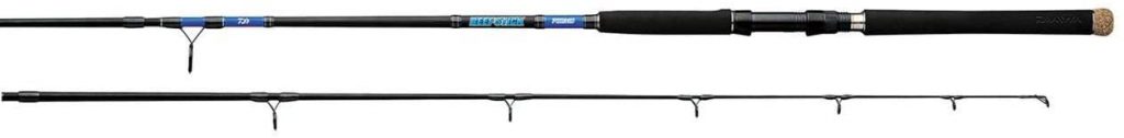 DAIWA Beefstick Surf Rod