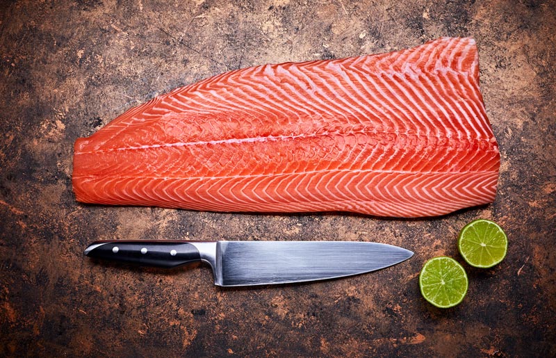 Best Salmon Fillet knives