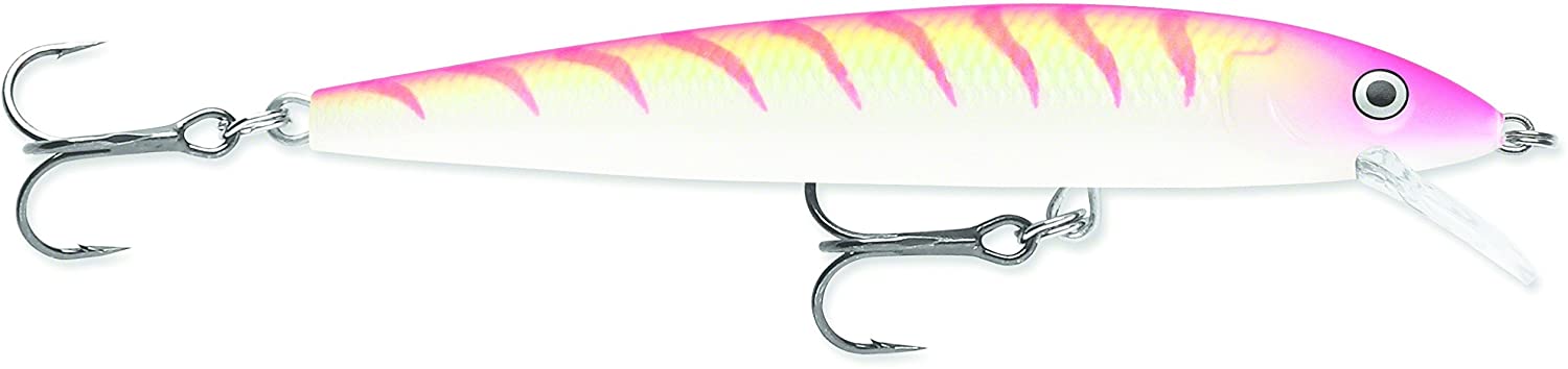 Rapala Husky Jerk 10 Fishing Lures