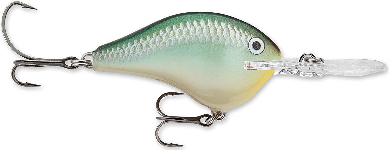 Rapala Ike's Custom Ink DT (Dives-To) Series Crankbait