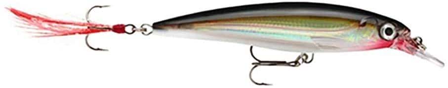 Rapala X-Rap Jerkbait XR10 Fishing Lure