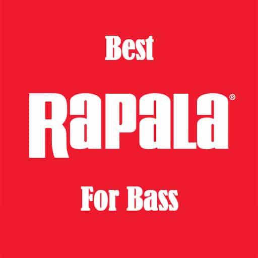 best rapala for bass